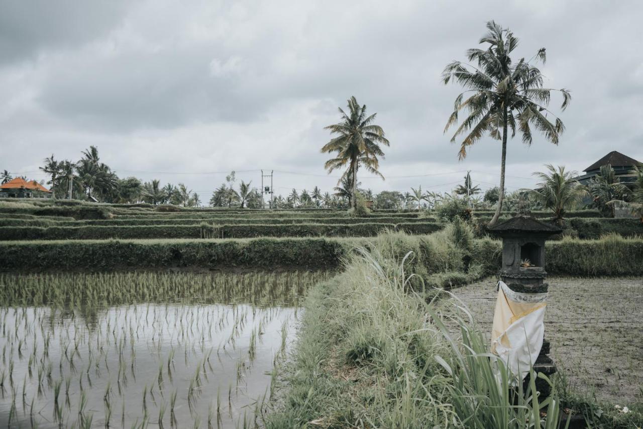 The Ning Resort Ubud Luaran gambar